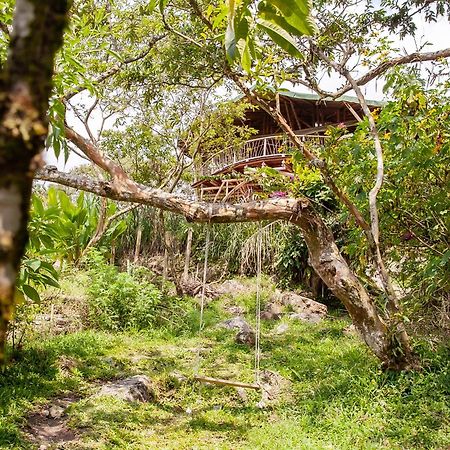 Ecofinca Fuente Alegre Cocorna Luaran gambar