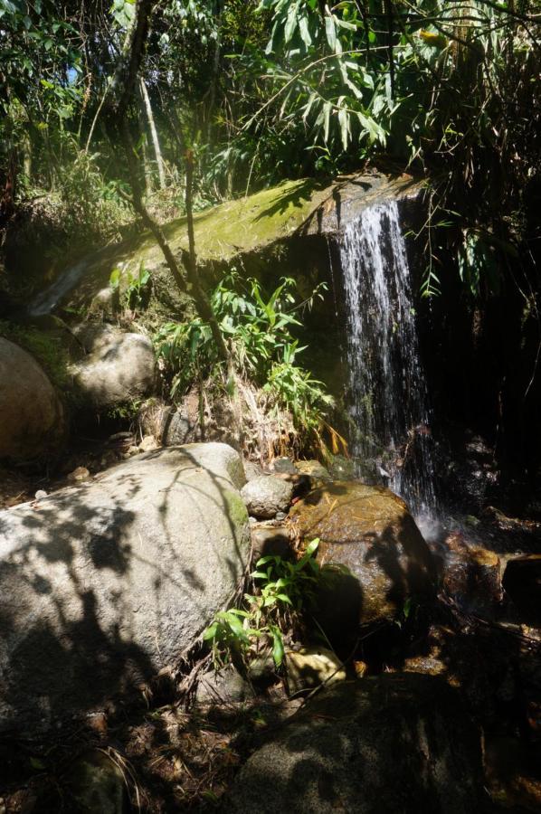 Ecofinca Fuente Alegre Cocorna Luaran gambar
