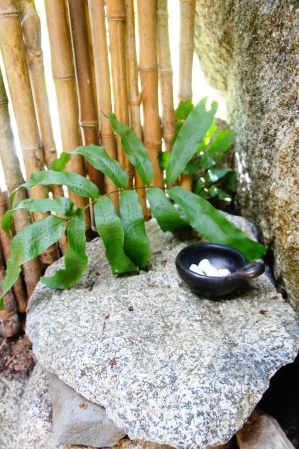 Ecofinca Fuente Alegre Cocorna Luaran gambar