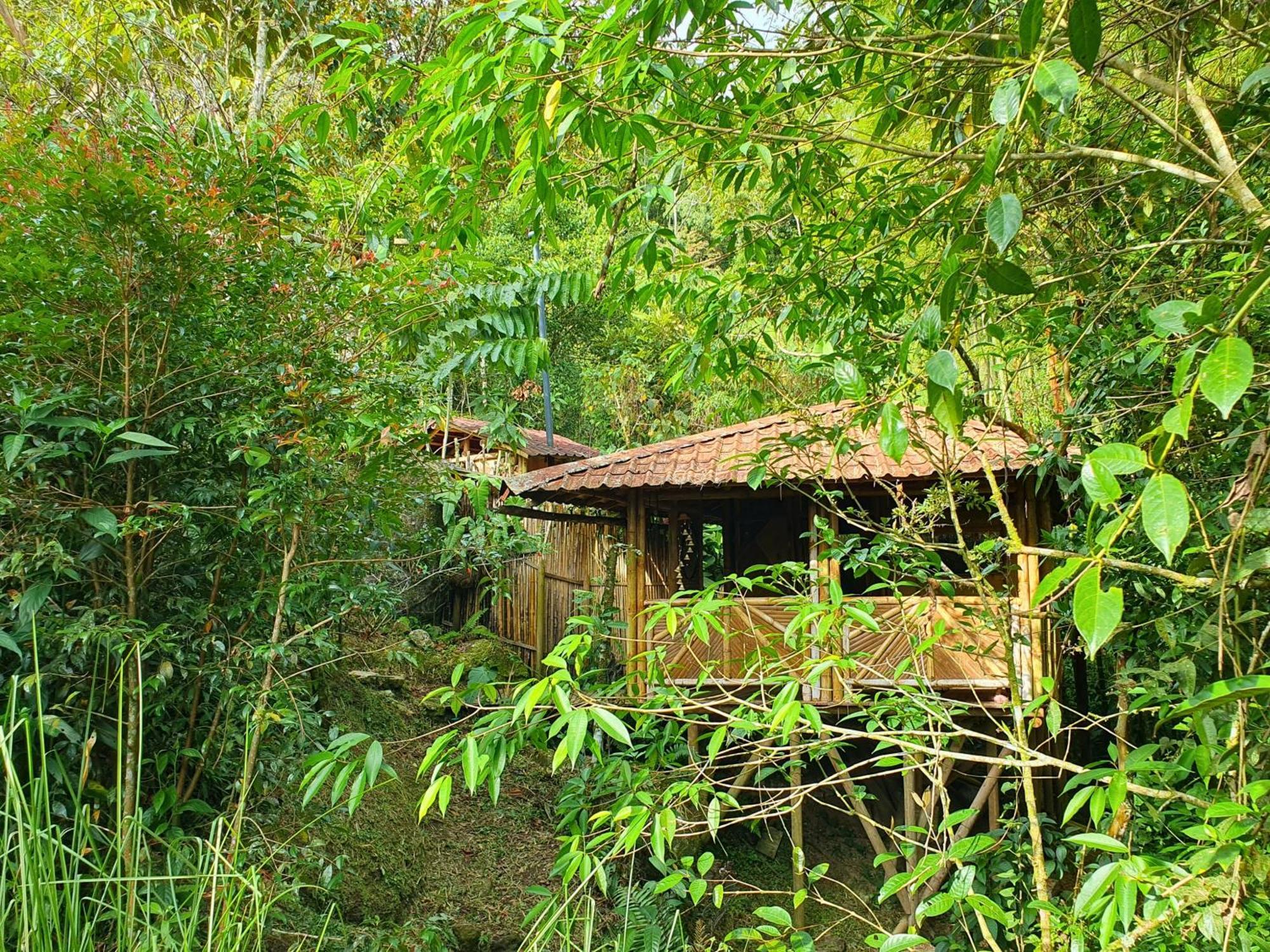 Ecofinca Fuente Alegre Cocorna Bilik gambar